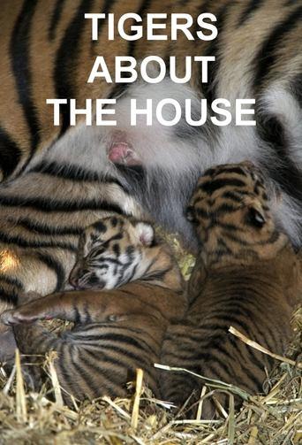 Tigers About the House dizi afişi