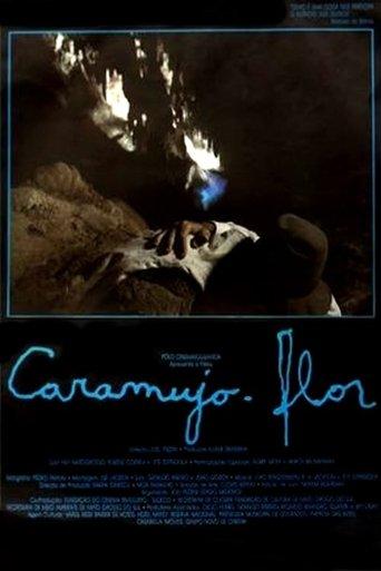 Caramujo-Flor film afişi