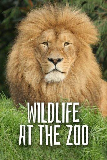 Wild Life At The Zoo dizi afişi