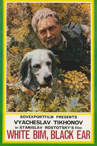 White Bim Black Ear film afişi