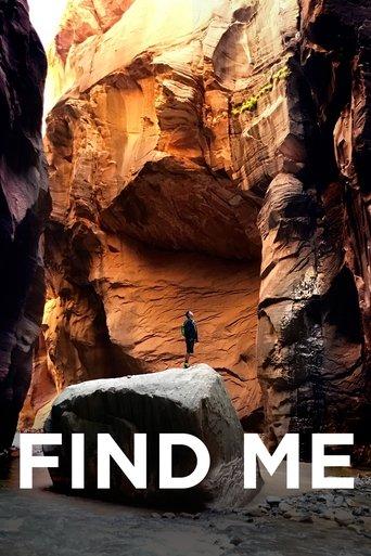 Find Me film afişi