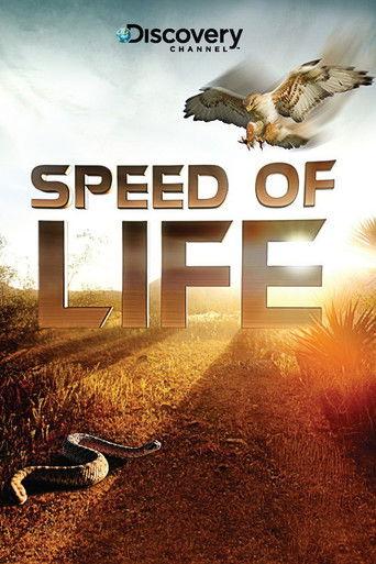 Speed of Life dizi afişi