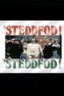 Steddfod! Steddfod! film afişi