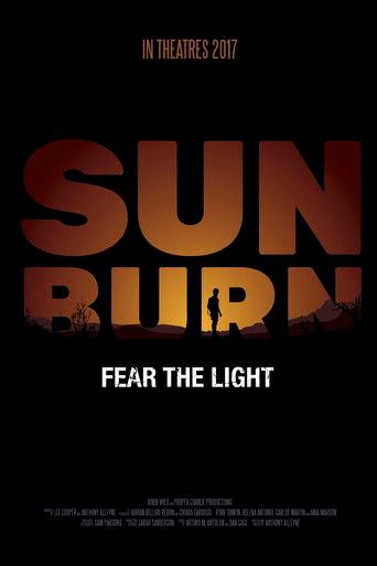 Sunburn film afişi