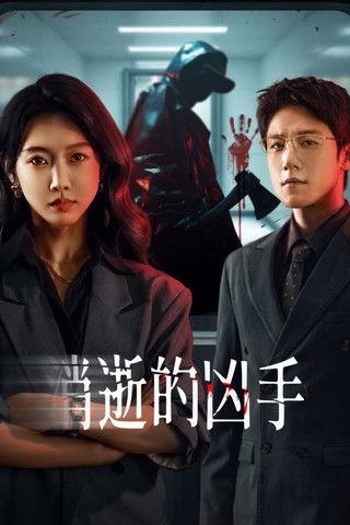 消逝的凶手 dizi afişi