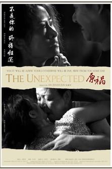 The Unexpected film afişi