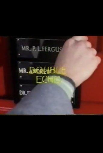 Double Echo film afişi