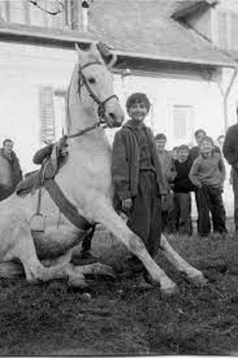 The Time of Horses film afişi