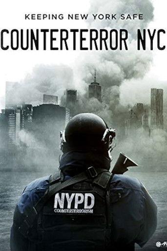 Counterterror NYC film afişi