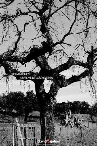 3 Caminheiros film afişi