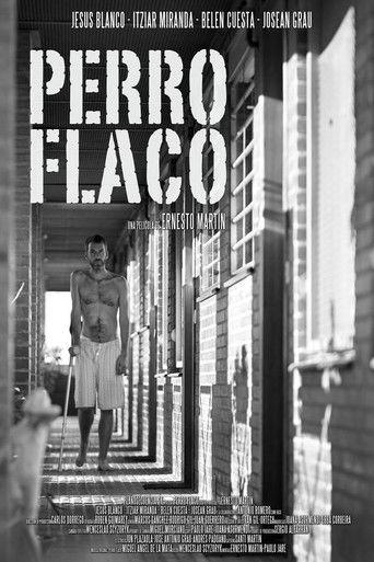 Perro flaco film afişi