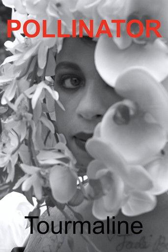 Pollinator film afişi