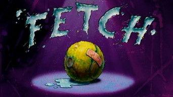 Fetch