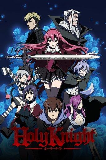 Holy Knight dizi afişi