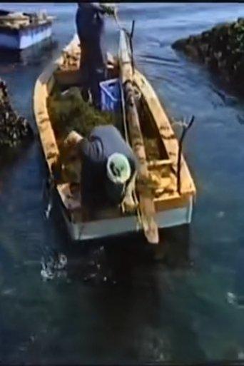 Fishing Moon film afişi