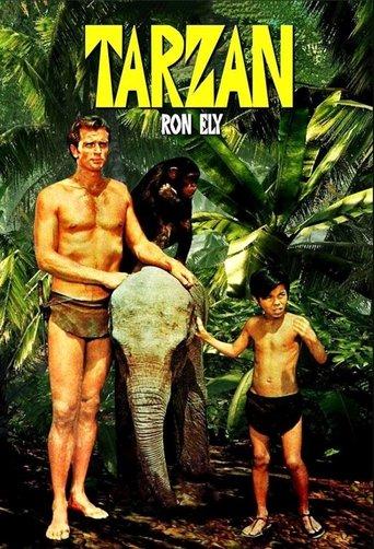 Tarzan dizi afişi