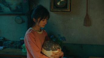 I Want to Give You Sunny Day, But I Only Have An Umbrella Woven from Storm Clouds