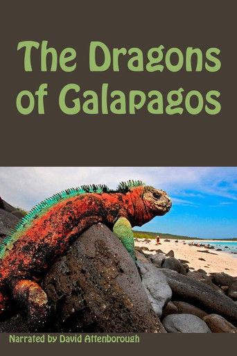 The Dragons of Galapagos film afişi