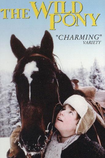 The Wild Pony film afişi