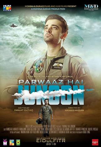 Parwaaz Hai Junoon film afişi
