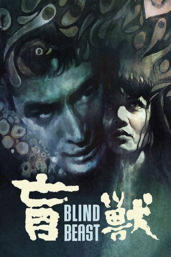 Blind Beast film afişi