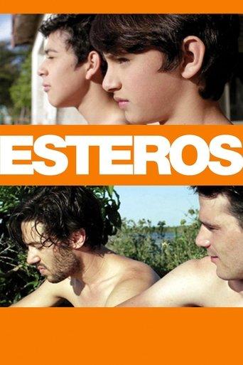 Esteros film afişi