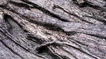 The Greatest Discoveries: Episode 1