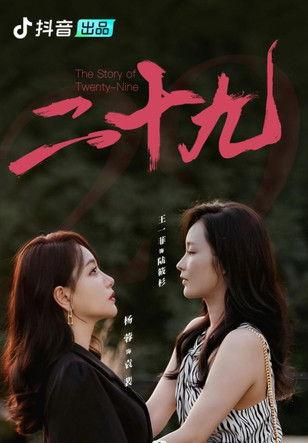二十九 dizi afişi