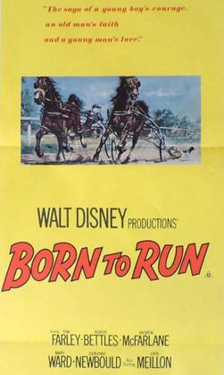 Born to Run film afişi