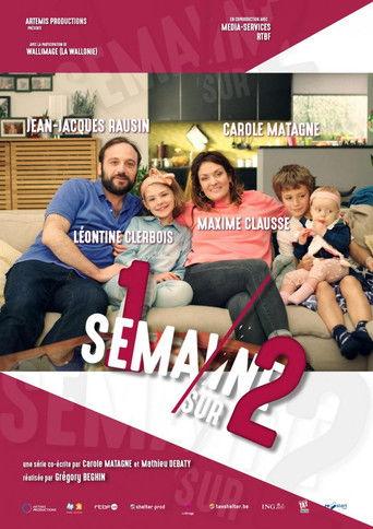1 semaine sur 2 dizi afişi