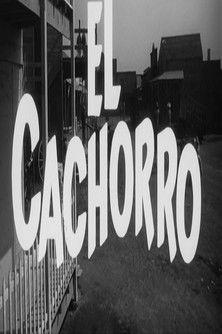 El cachorro film afişi
