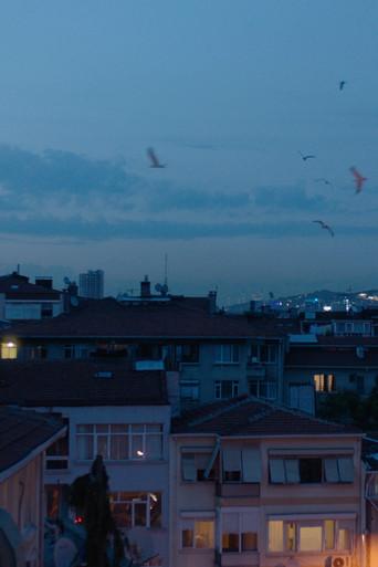 Deceptive Depths film afişi