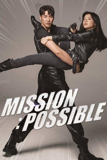 Mission: Possible film afişi