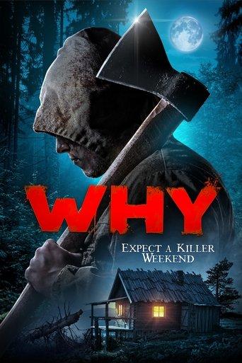 Why? film afişi