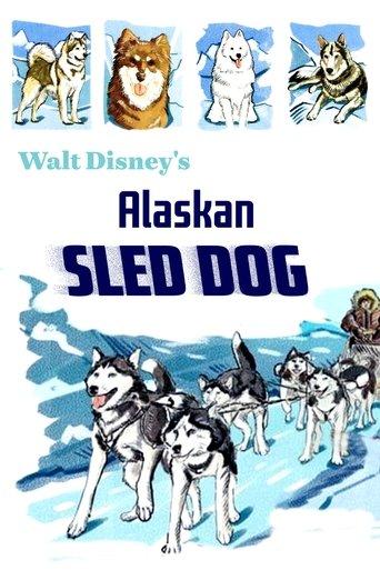 Alaskan Sled Dog film afişi