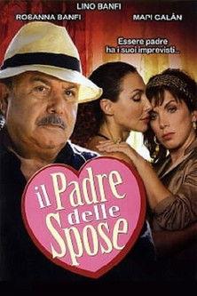 Il padre delle spose film afişi
