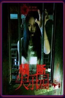 The Lost Love film afişi