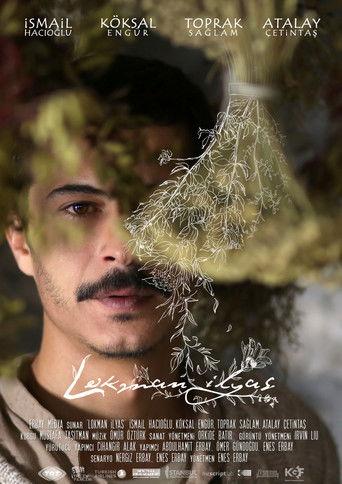 Lokman İlyas film afişi