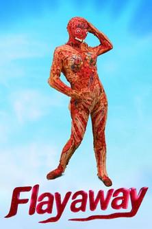 Flayaway film afişi