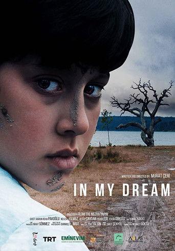 In My Dream film afişi