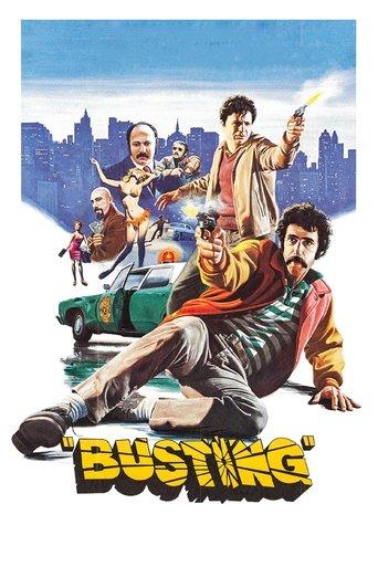 Busting film afişi