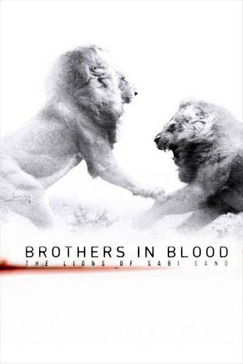 Brothers in Blood: The Lions of Sabi Sand film afişi