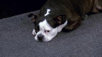 Finale: Go Big or Go Home