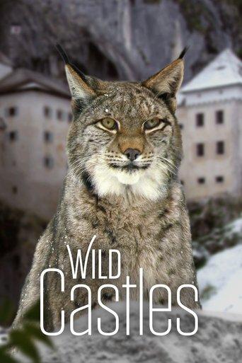 Wild Castles dizi afişi