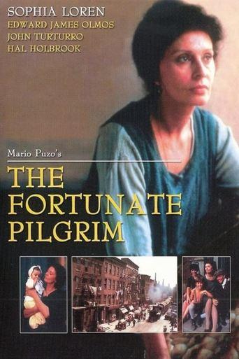 The Fortunate Pilgrim dizi afişi
