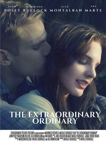 The Extraordinary Ordinary film afişi