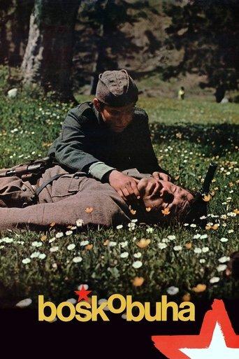 Boško Buha film afişi