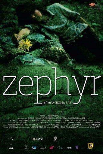 Zephyr film afişi