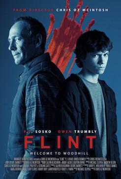 Flint film afişi