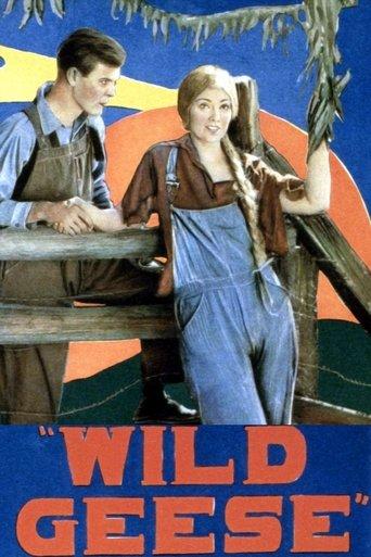 Wild Geese film afişi